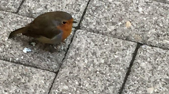 Day 55-57: Schwishin’ Schwäbisch