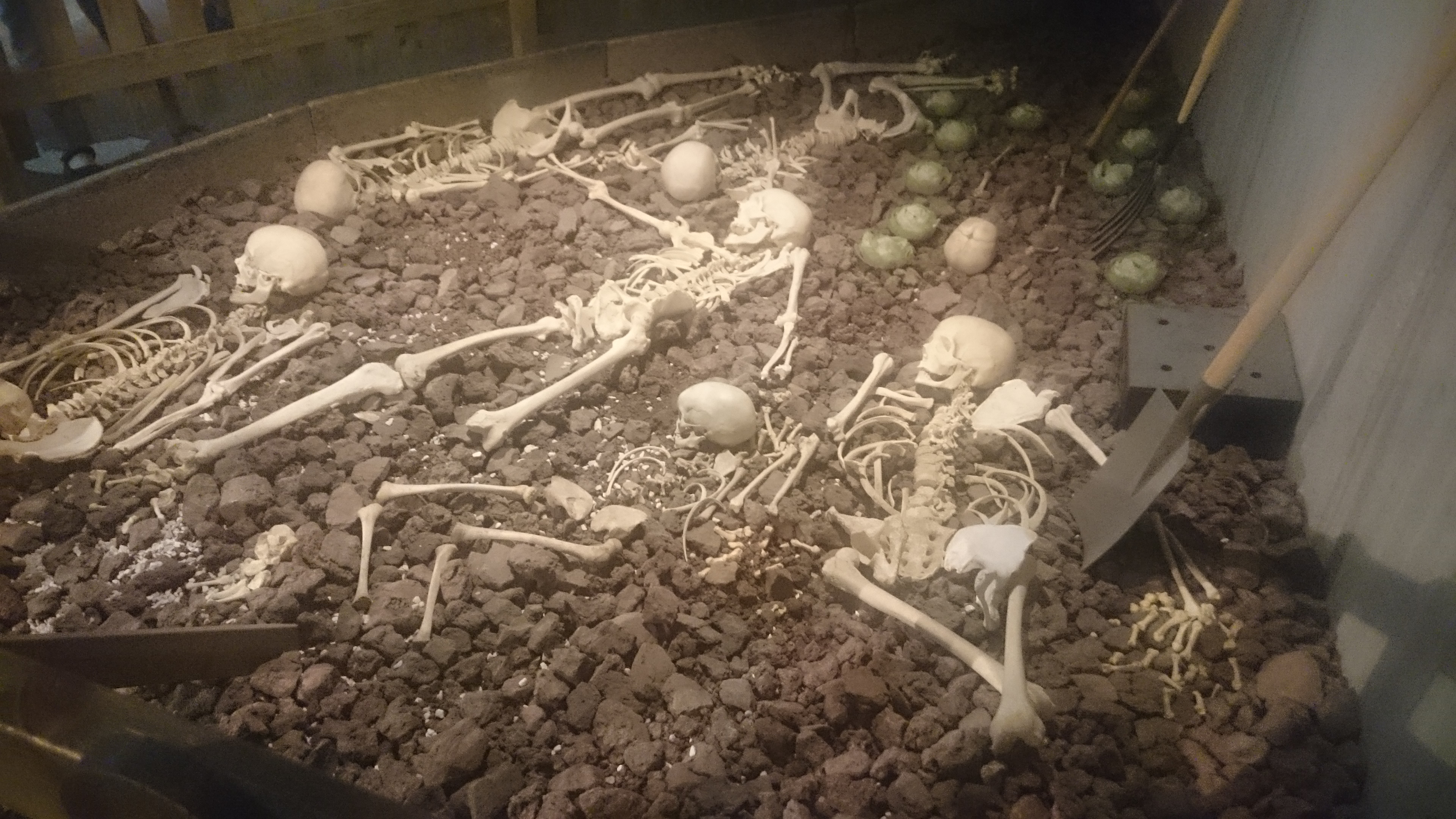 tmp_30199-DSC_06991044469968