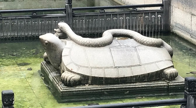 Day 41-42: The GF Line