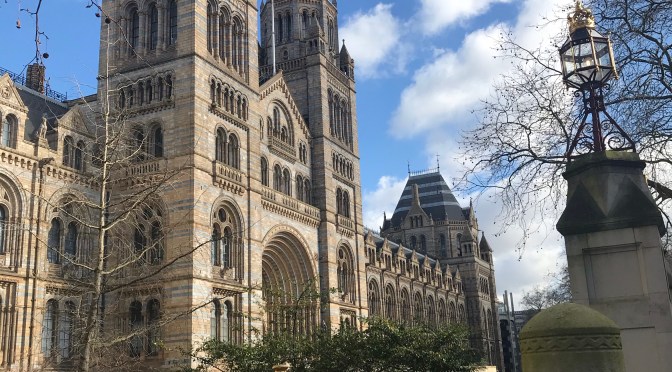 Glyndebourne Opera Finals, Kensington Museums, and Fidelio