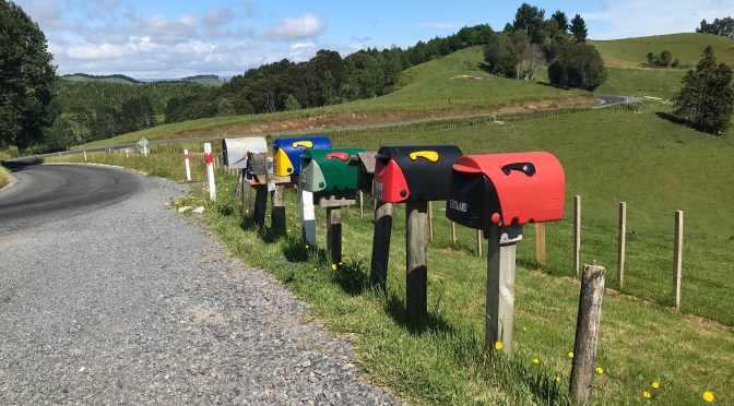 PANDEMIC DIARY FROM PAPAMOA, NEW ZEALAND: WEEK 5