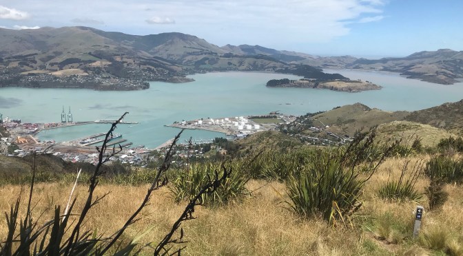 PANDEMIC DIARY FROM CHRISTCHURCH, NEW ZEALAND: WEEK 11