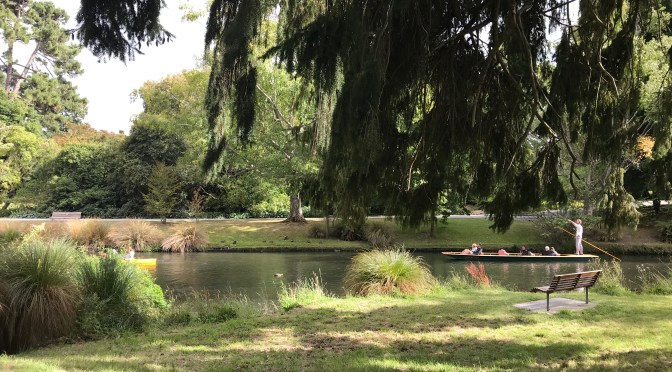 PANDEMIC DIARY FROM CHRISTCHURCH, NEW ZEALAND: WEEK 12-14