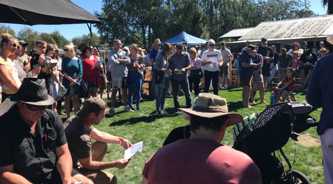 PANDEMIC DIARY FROM CHRISTCHURCH, NEW ZEALAND: WEEK 18-19