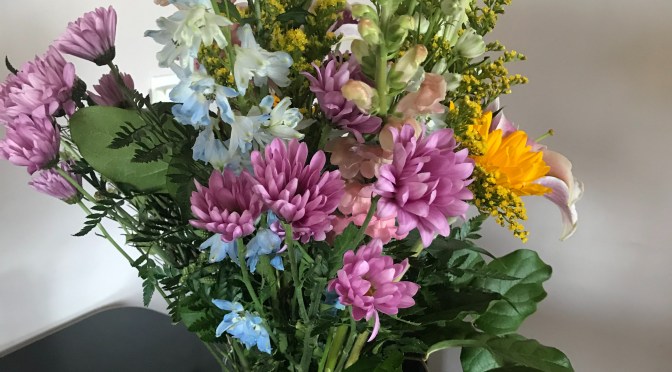 PANDEMIC DIARY SAN FRANCISCO, CA (Week 24-26)