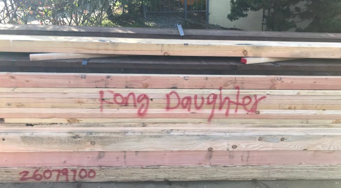 CONSTRUCTIVE TRAVELING: Start of Rough Framing (Weeks 20-24)