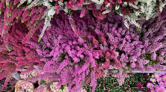 DC (Washington) and BG (Berlin, Germany)